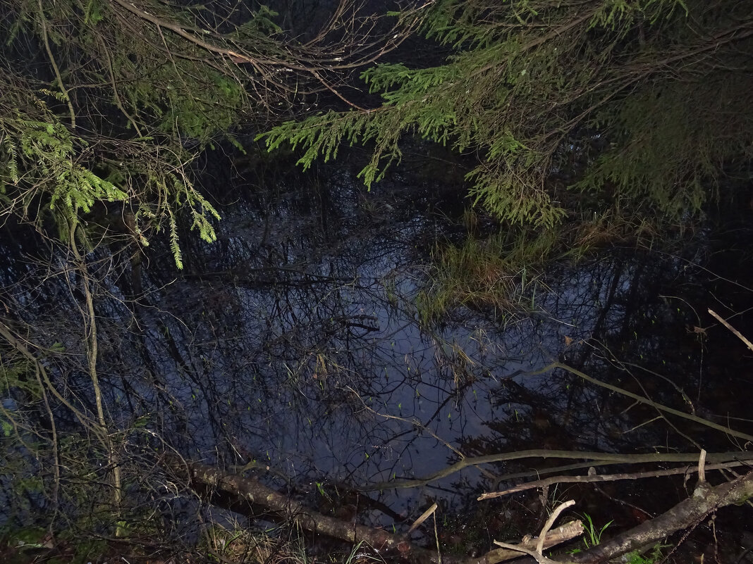 Топь - Денис Бочкарёв