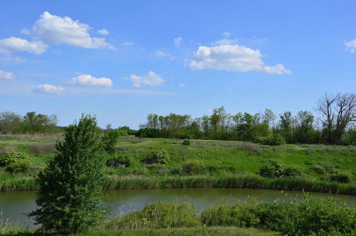 У реки. - Виктор 