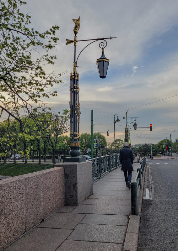 Пантелеймоновский мост через Фонтанку - Татьяна Машошина