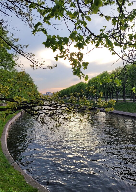 Фонтанка в сумерках - Татьяна Машошина