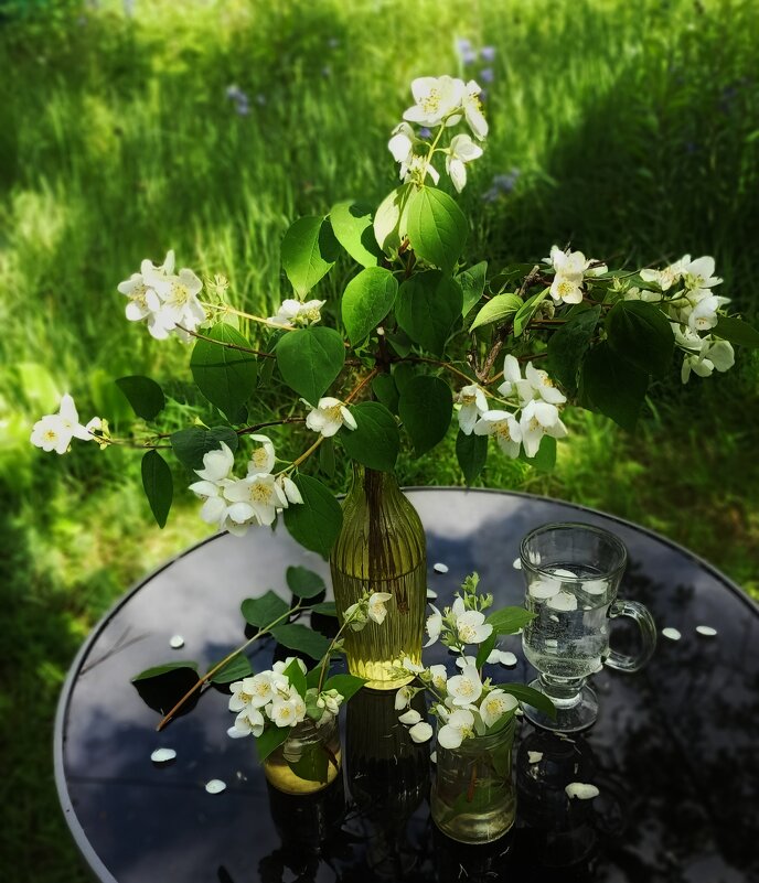 С добрым утром! - veilins veilins