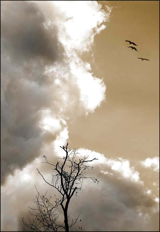 меланхолия - александр 