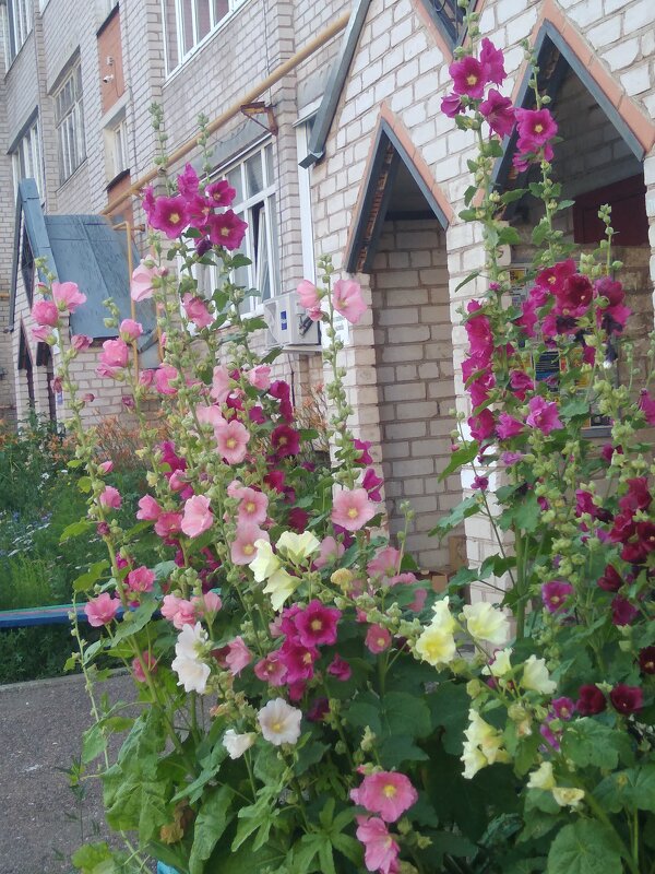 Мой город. - Венера Чуйкова Мой город. - Венера Чуйкова