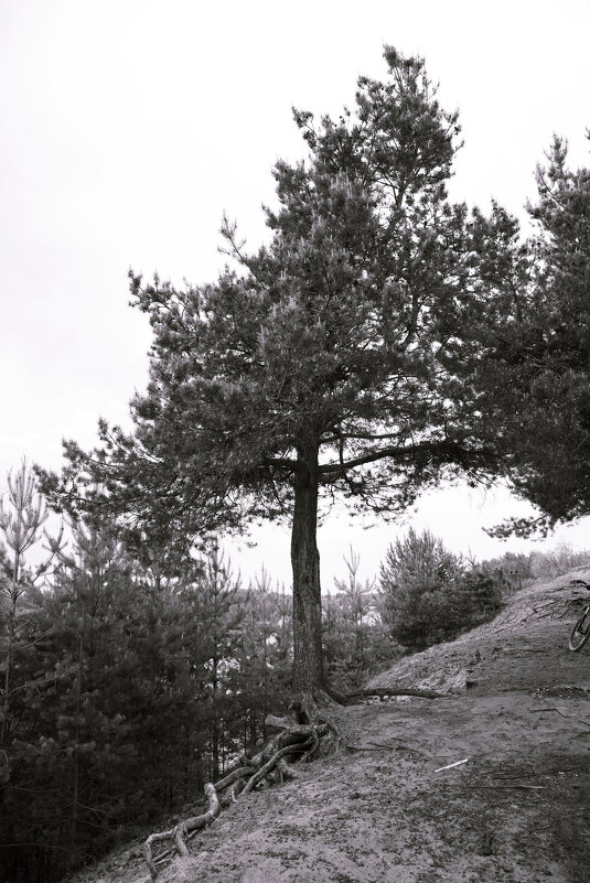 Назва. отсу. - Денис Безногов