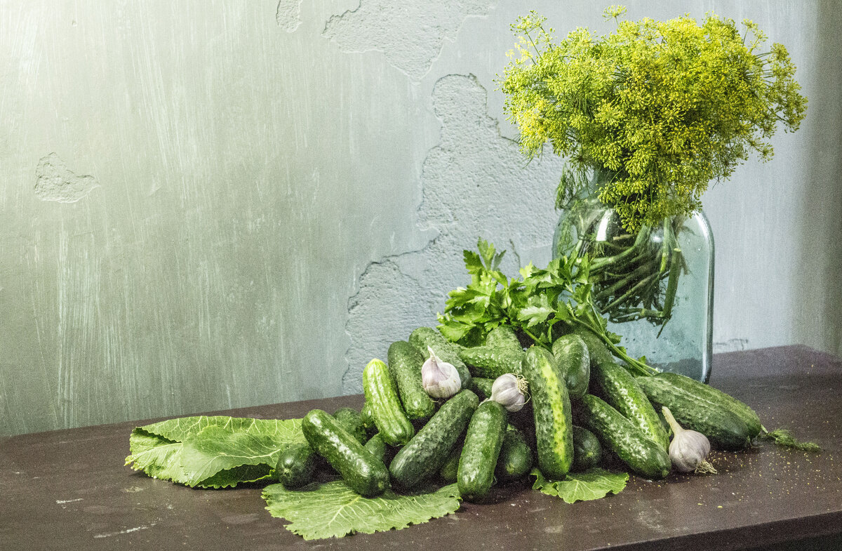 Группа огурцов покоящаяся на листьях хрена, в компании укропа и чеснока & грядущая консервация - Коля Лукашов