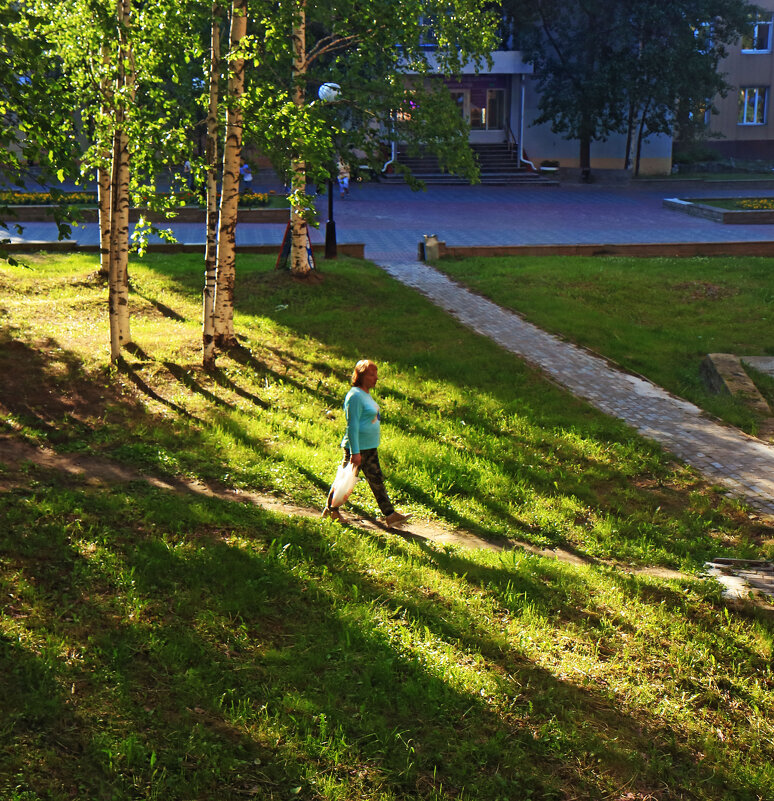 Июнь...В утреннем луче солнца! - Владимир 