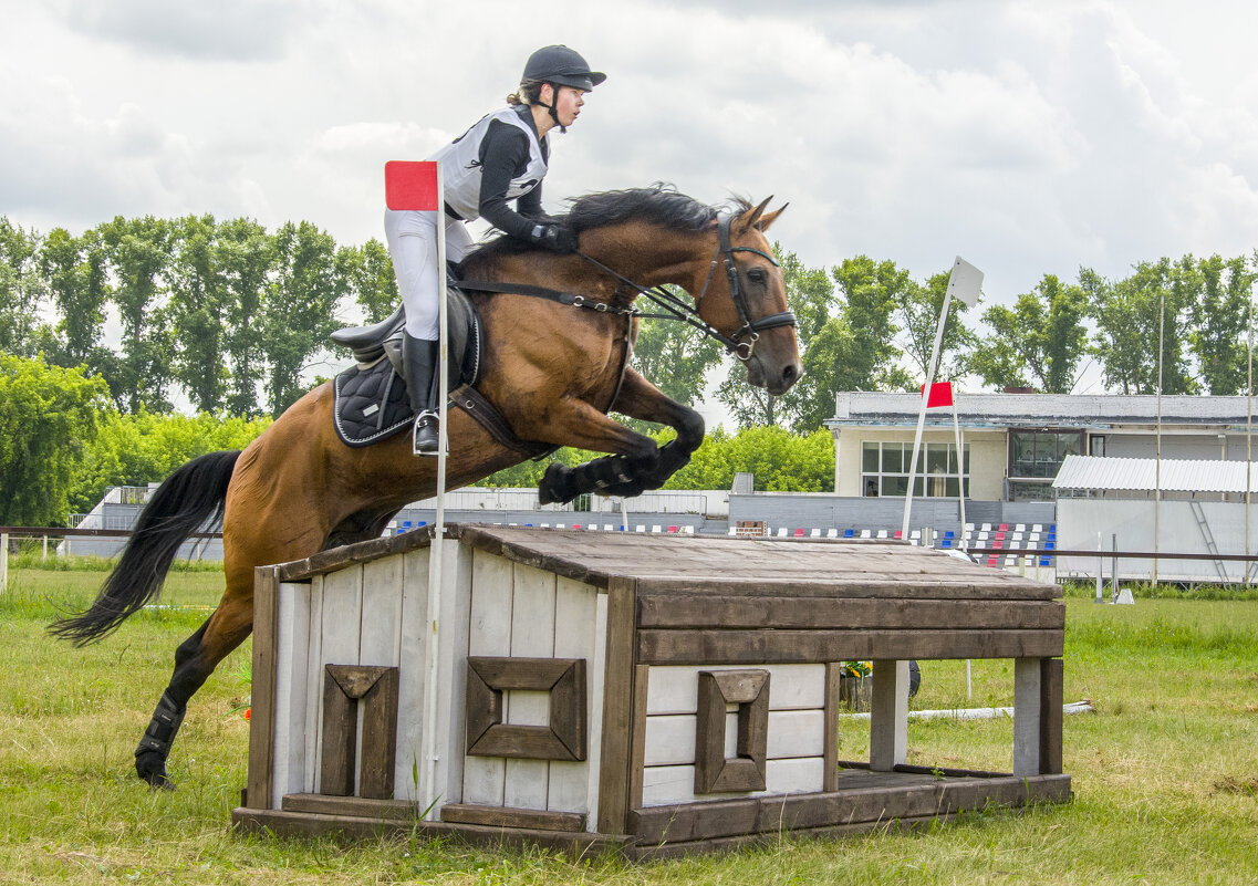 Кросс - Татьяна Титова