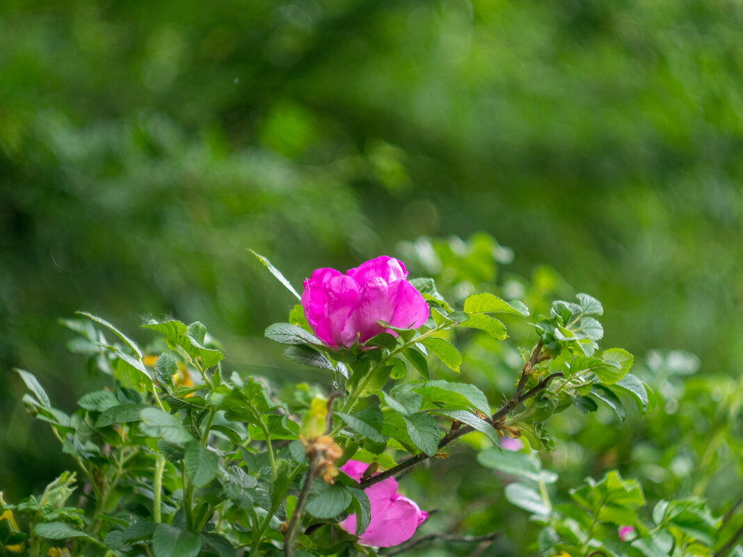 ___ - Yuriy V ___ - Yuriy V