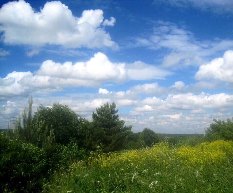 В с.Заворово - Елена Семигина В с.Заворово - Елена Семигина