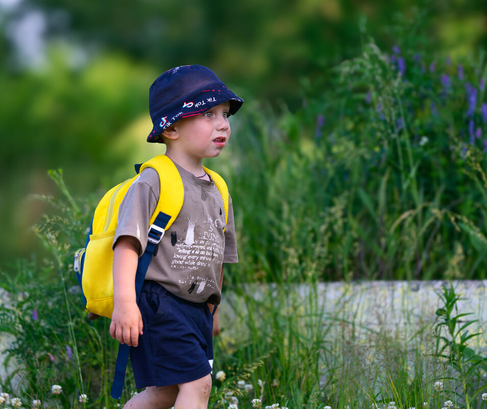 Прогулка ... - Евгений Хвальчев