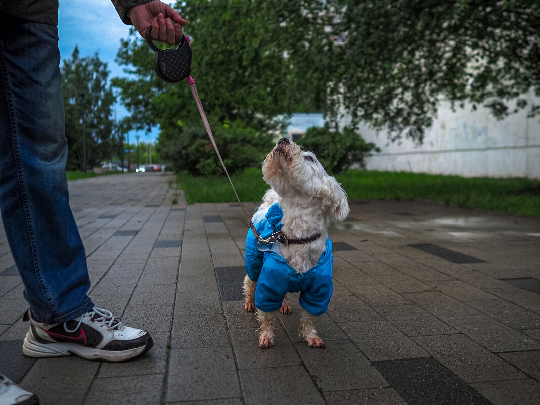 ***** - юрий поляков