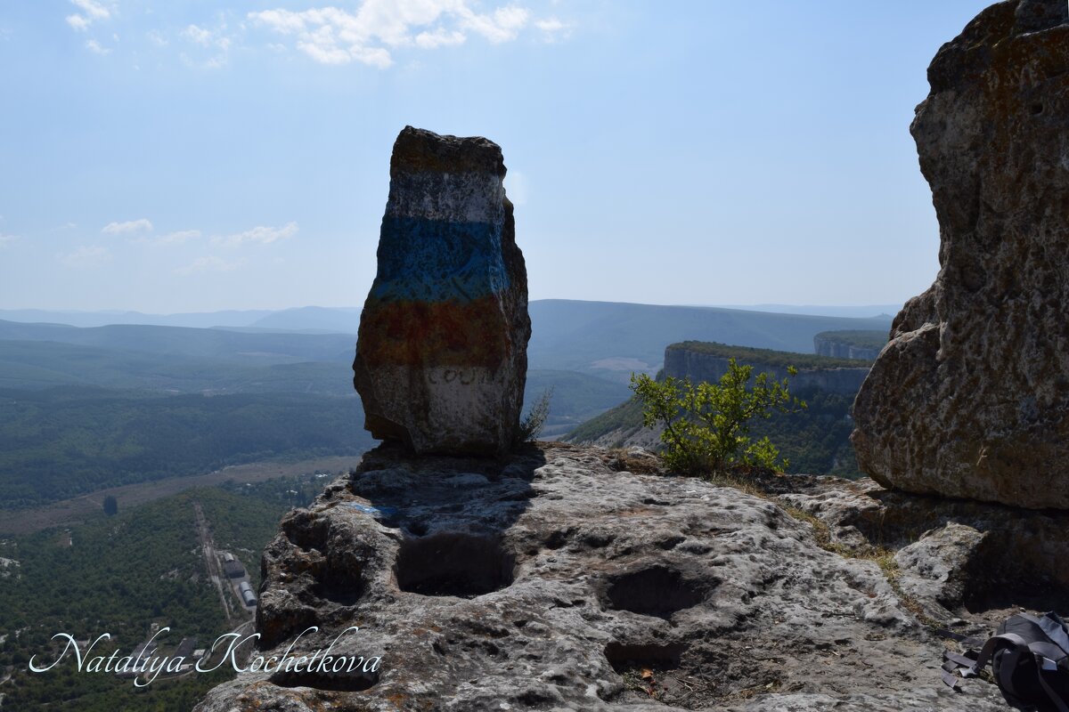 Природа Крыма - Amazing Cosmea