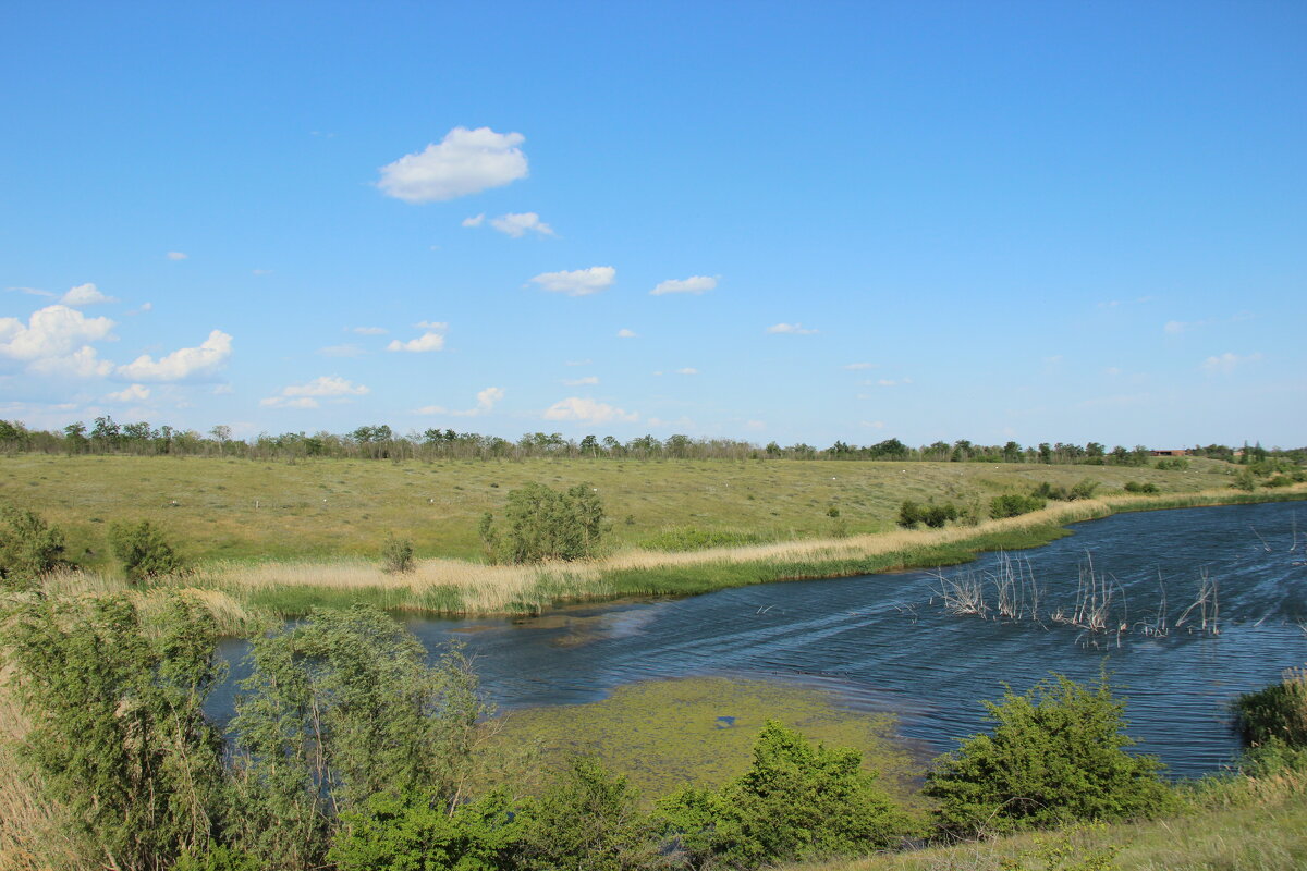 Донская степь. - Виктор 