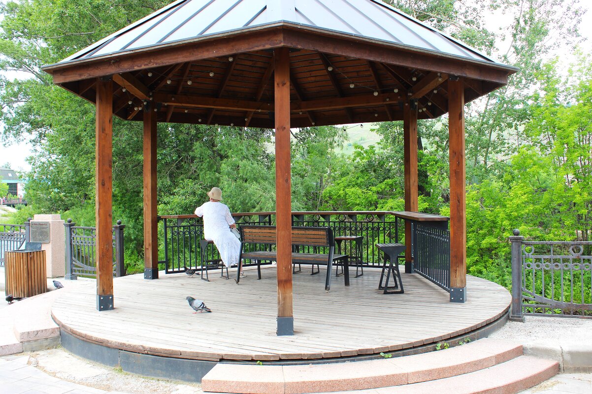 Дама на променаде - Василий 