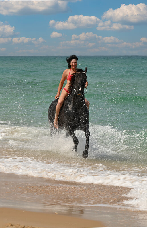 Грация в галлопе - Valentin Bondarenko Грация в галлопе - Valentin Bondarenko