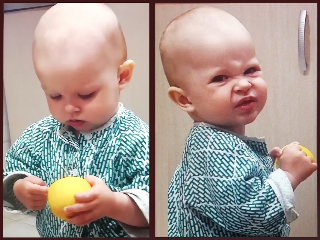 "Знакомство" с лимоном. - Ольга Довженко