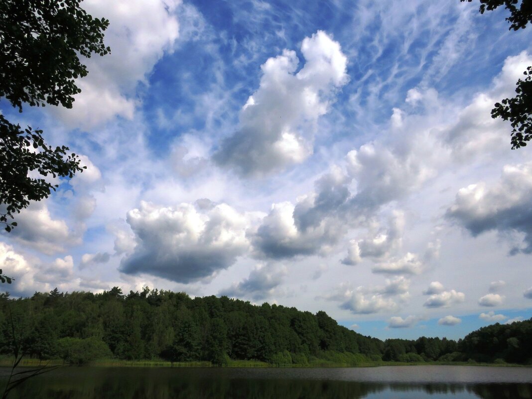 Утреннее небо - Андрей Снегерёв