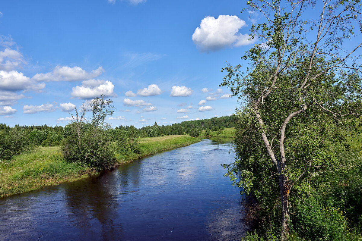 Ленинрадская область, река Оредеж - Юрий Бутусов