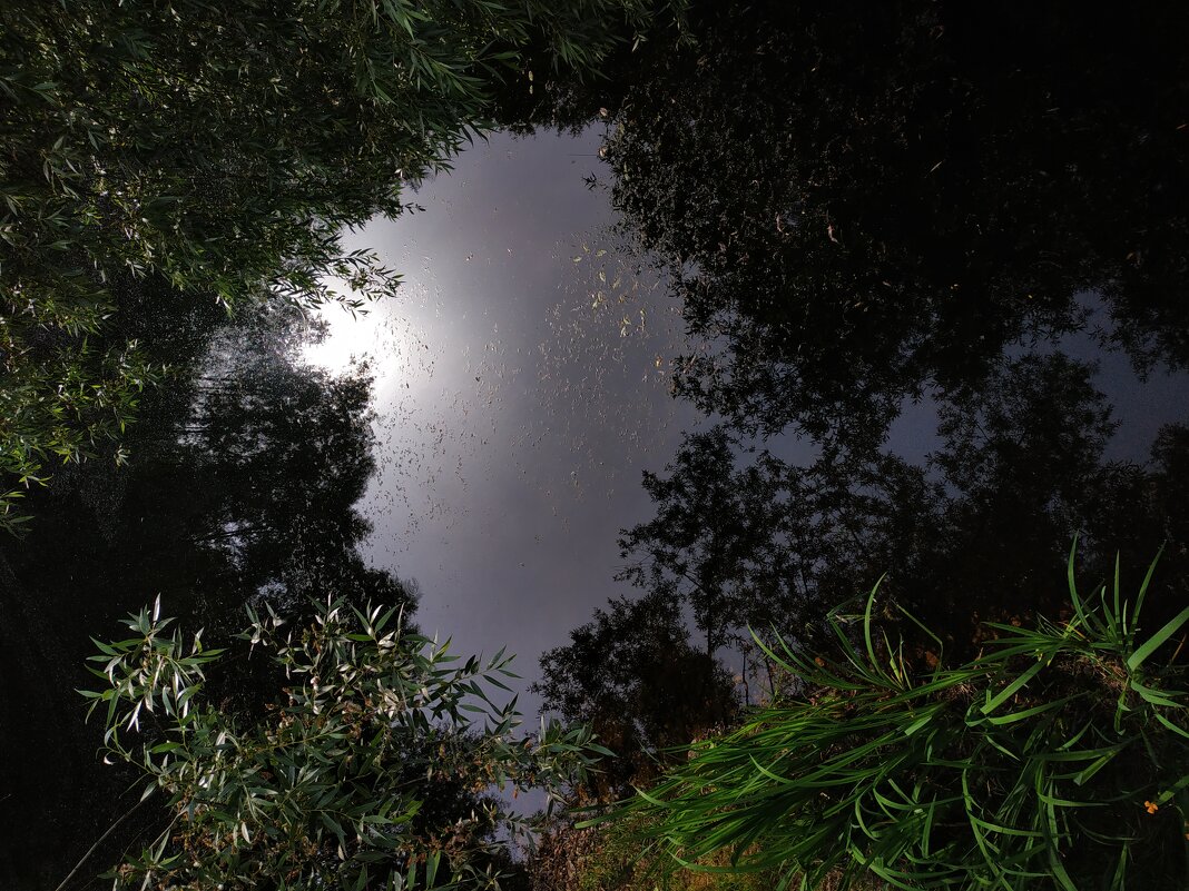 * * * - Андрей Лукьянов