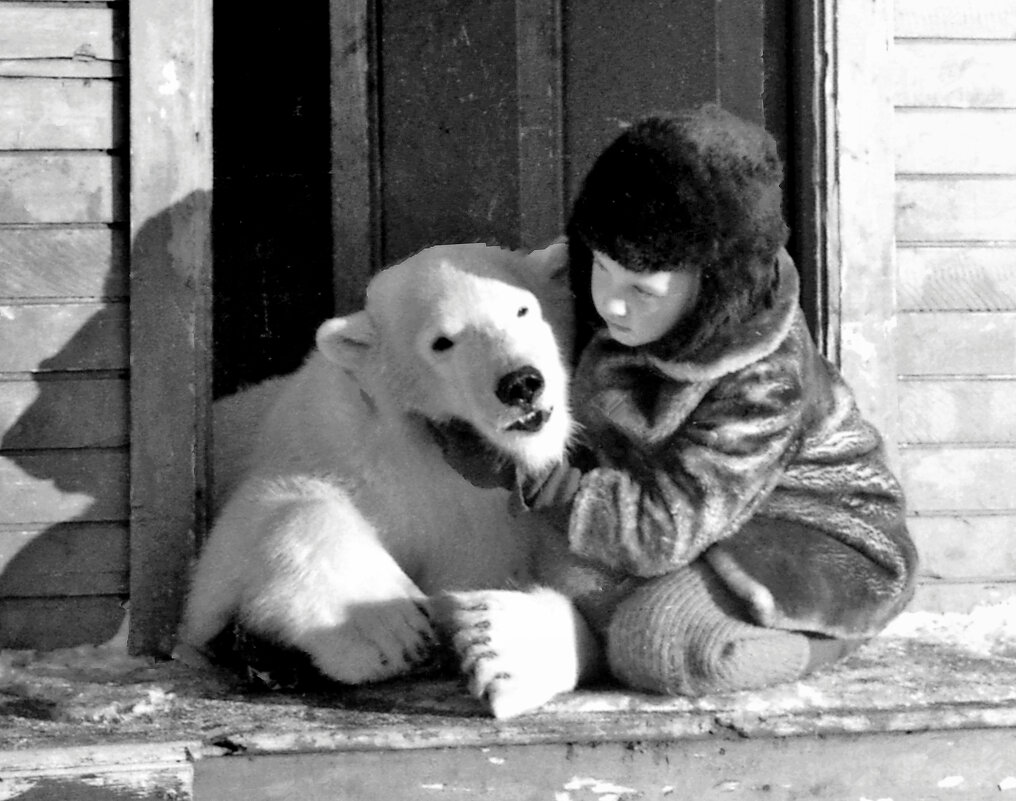 Подружки. - Игорь Викторов Подружки. - Игорь Викторов