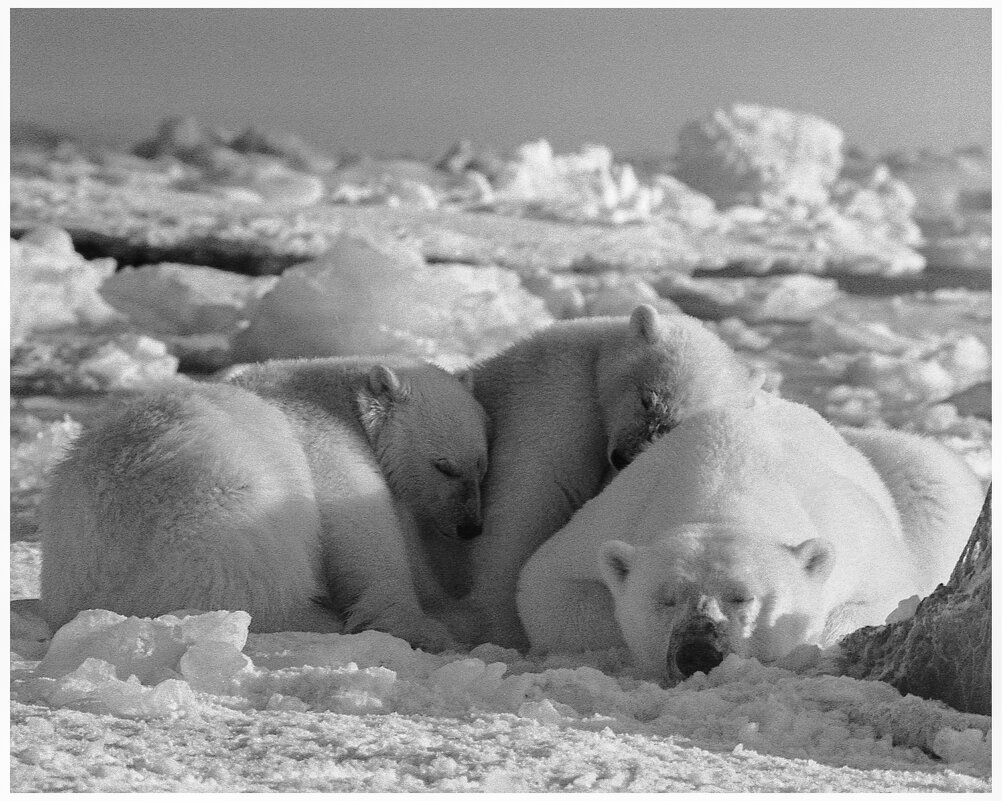 После обеда - тихий час. - Игорь Викторов После обеда - тихий час. - Игорь Викторов