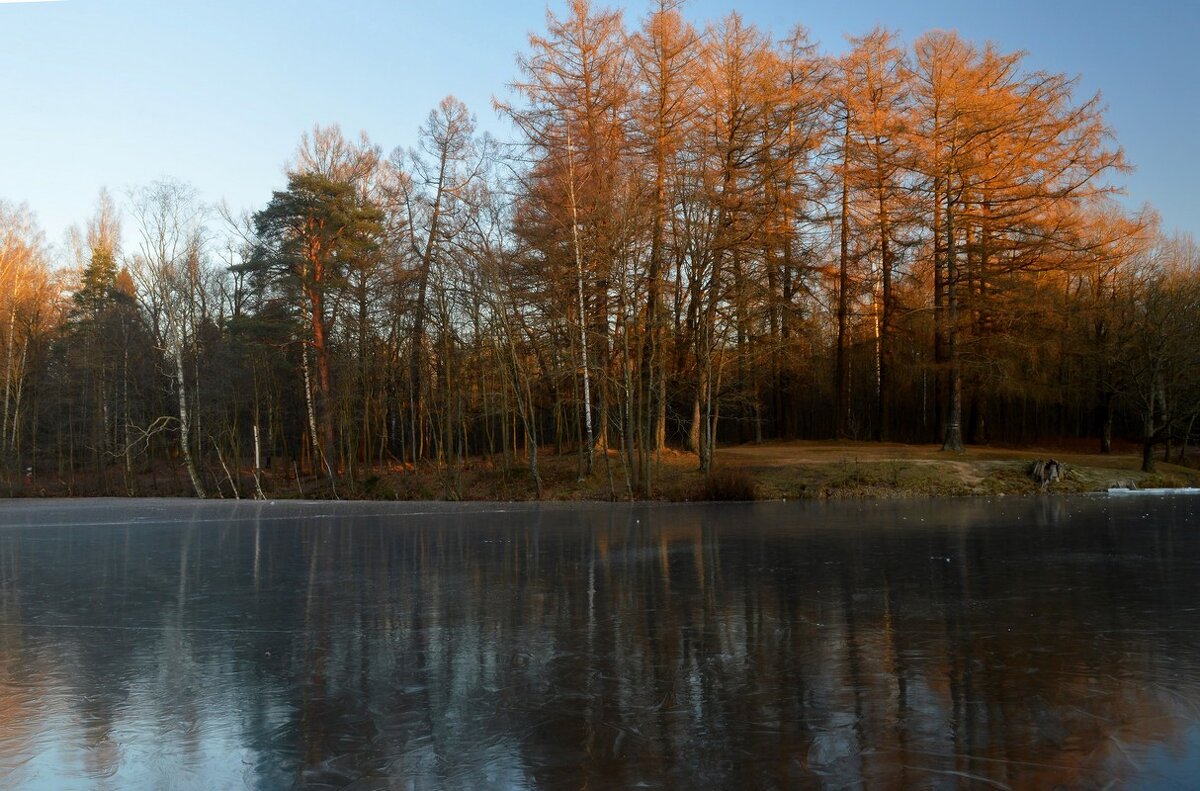 В утреннем свете..... - Юрий Цыплятников В утреннем свете..... - Юрий Цыплятников