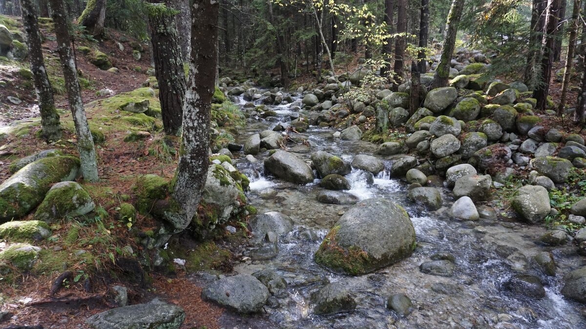 Горы, ручьи, леса, валуны... - это всё в г. Банско - Эмиль 