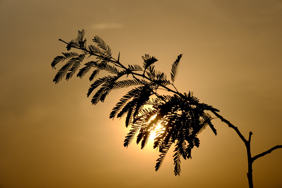 На закате - Георгий А