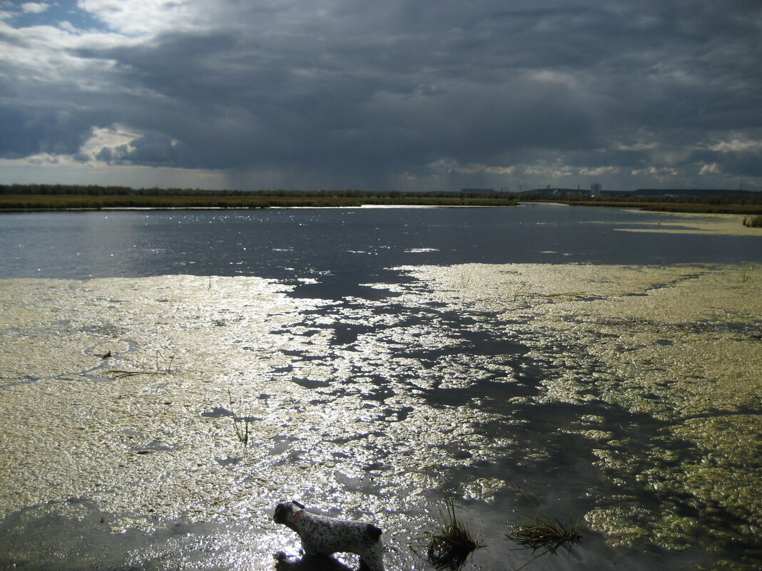 Лето - Anna Ivanova