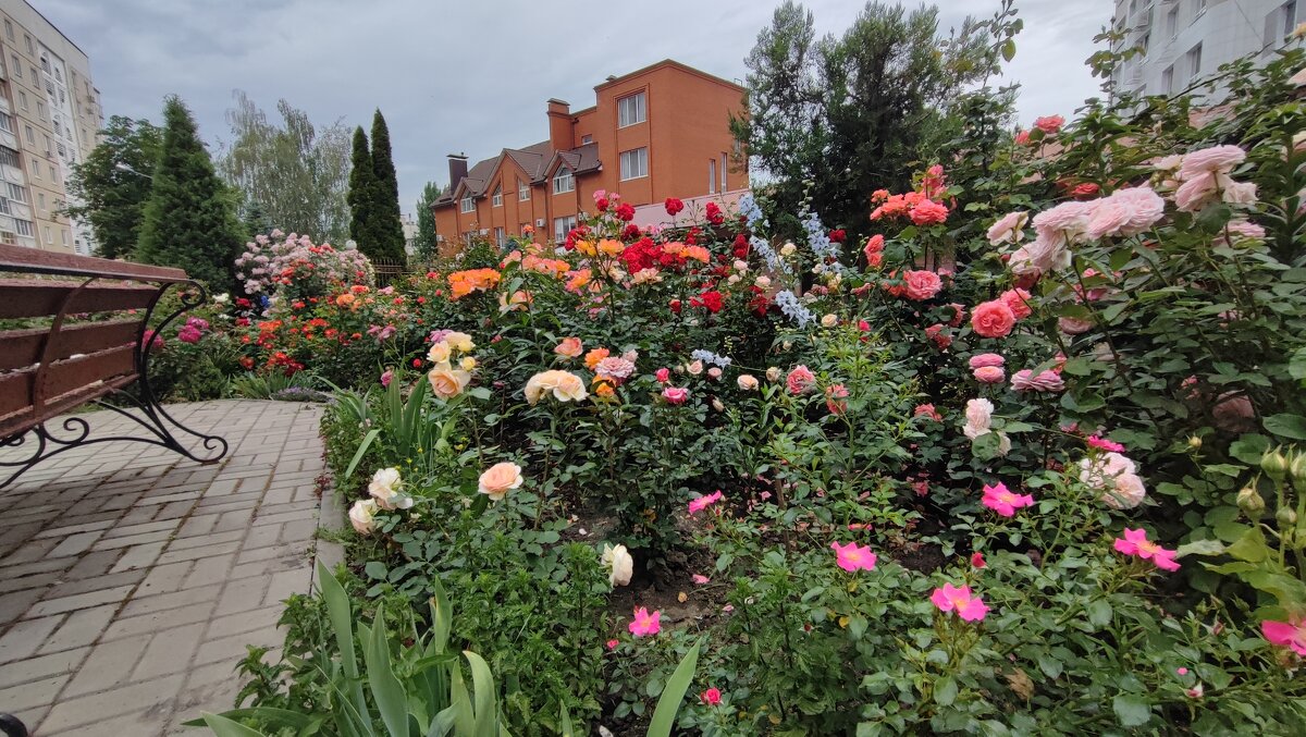 ,,, - Сергей Тимоновский ,,, - Сергей Тимоновский