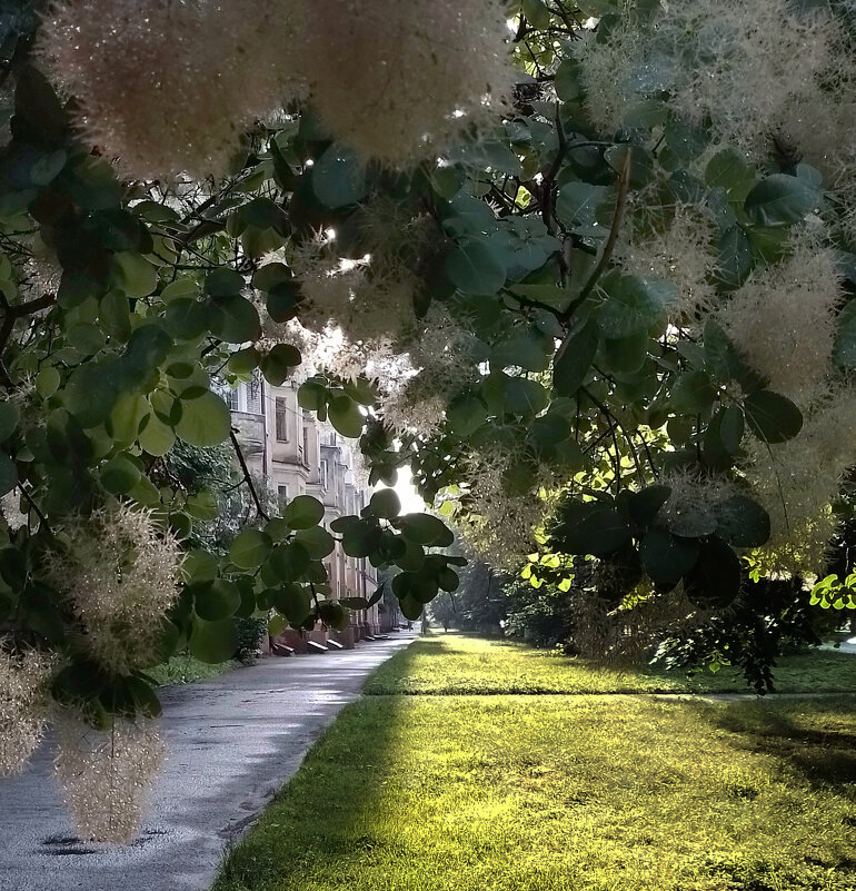 *** - Валентина Береснева