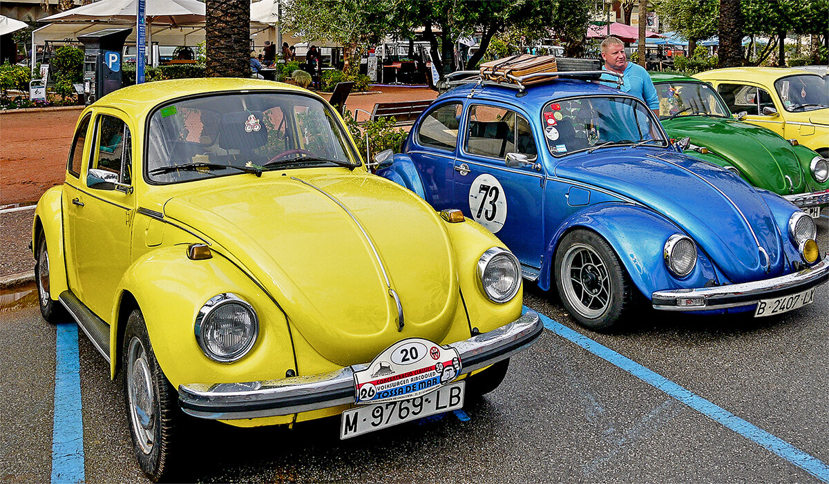 Они, наверное, вечные - Alexandеr P