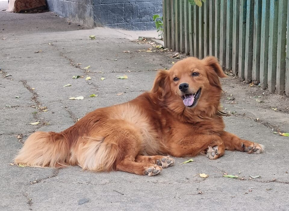 Вечернее настроение :) - Наталья 