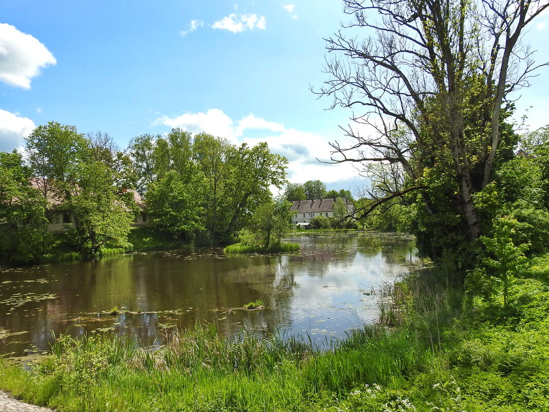 ***** - ИННА ПОРОХОВА