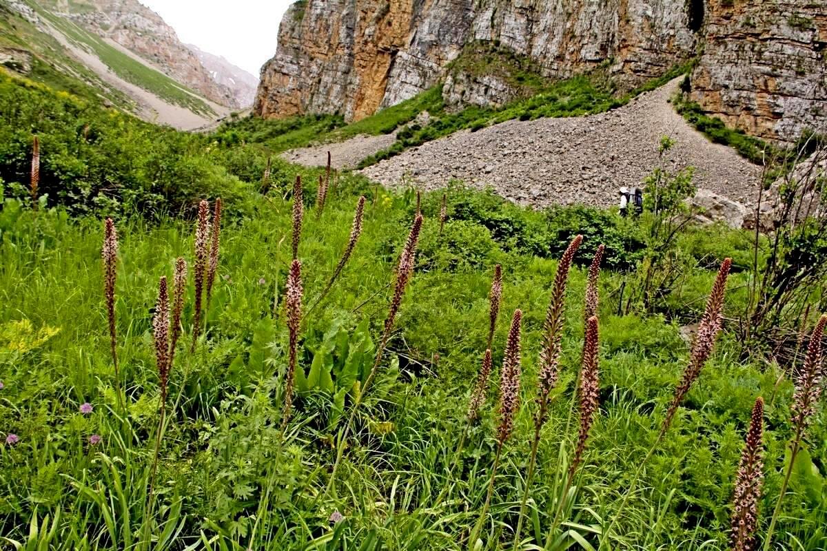 ПО ГОРАМ. - Виктор Осипчук