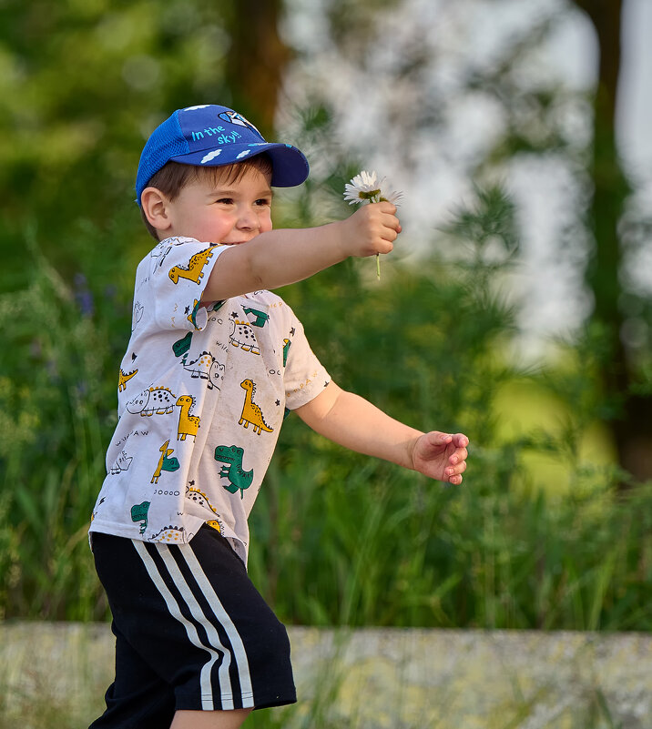 Спешит ромашки подарить ... - Евгений Хвальчев