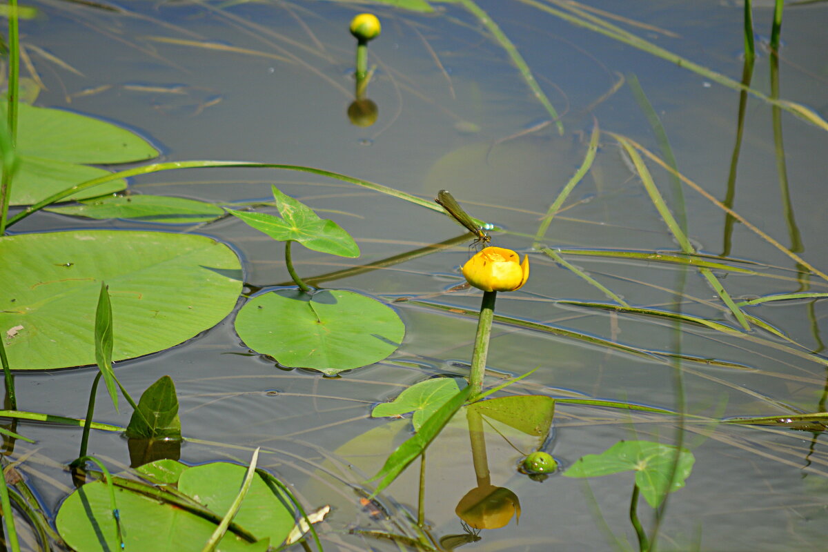 У самого берега) - Татьяна Лютаева У самого берега) - Татьяна Лютаева