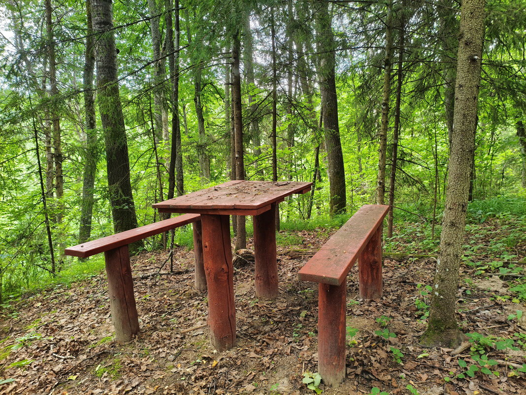Милое сердцу место - Денис Бочкарёв Милое сердцу место - Денис Бочкарёв