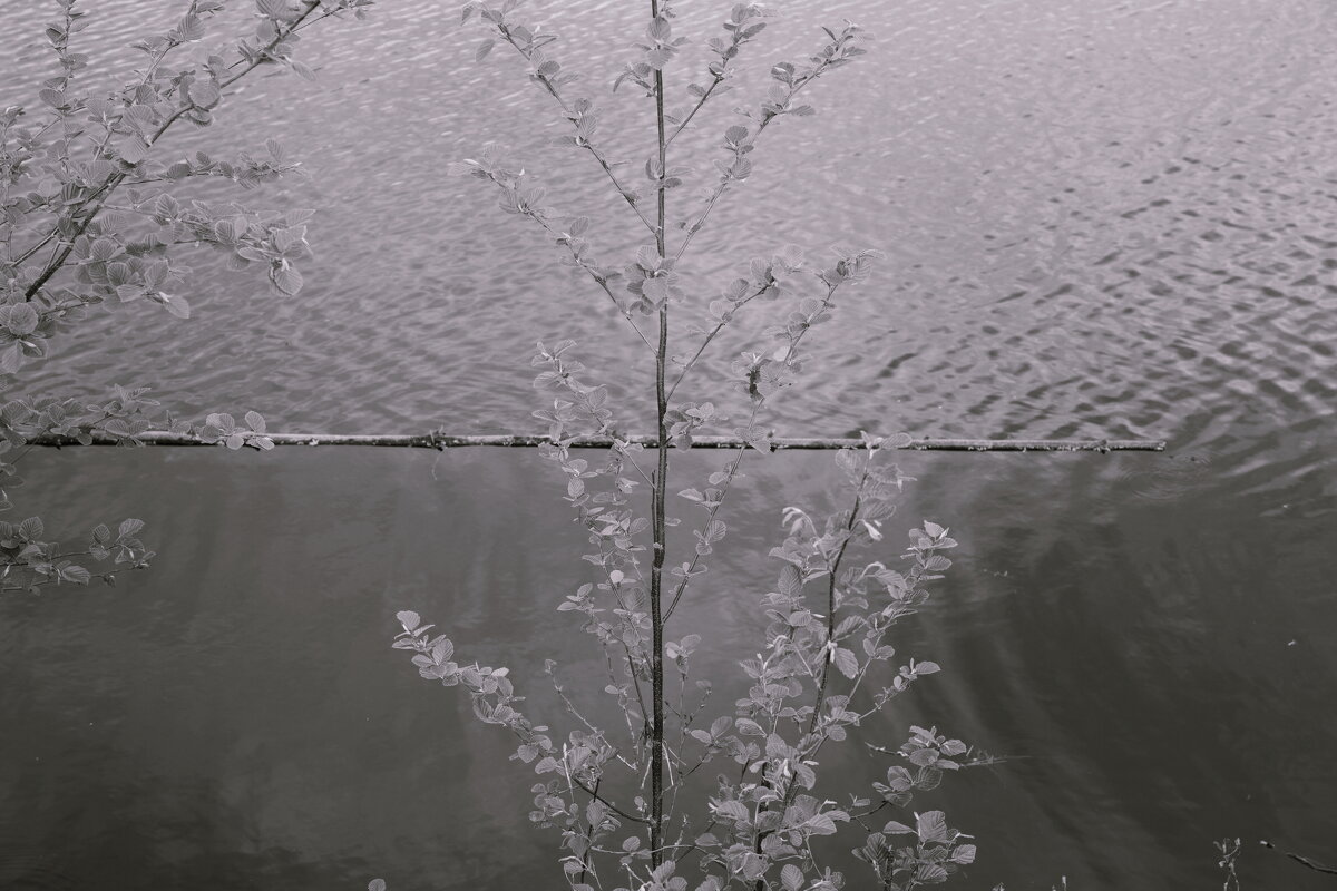 Назва. отсу. - Денис Безногов