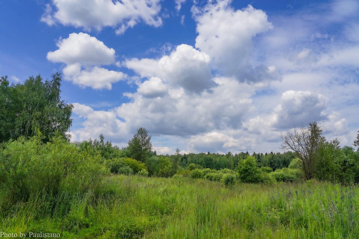 Небо июня... - Владимир Жданов Небо июня... - Владимир Жданов