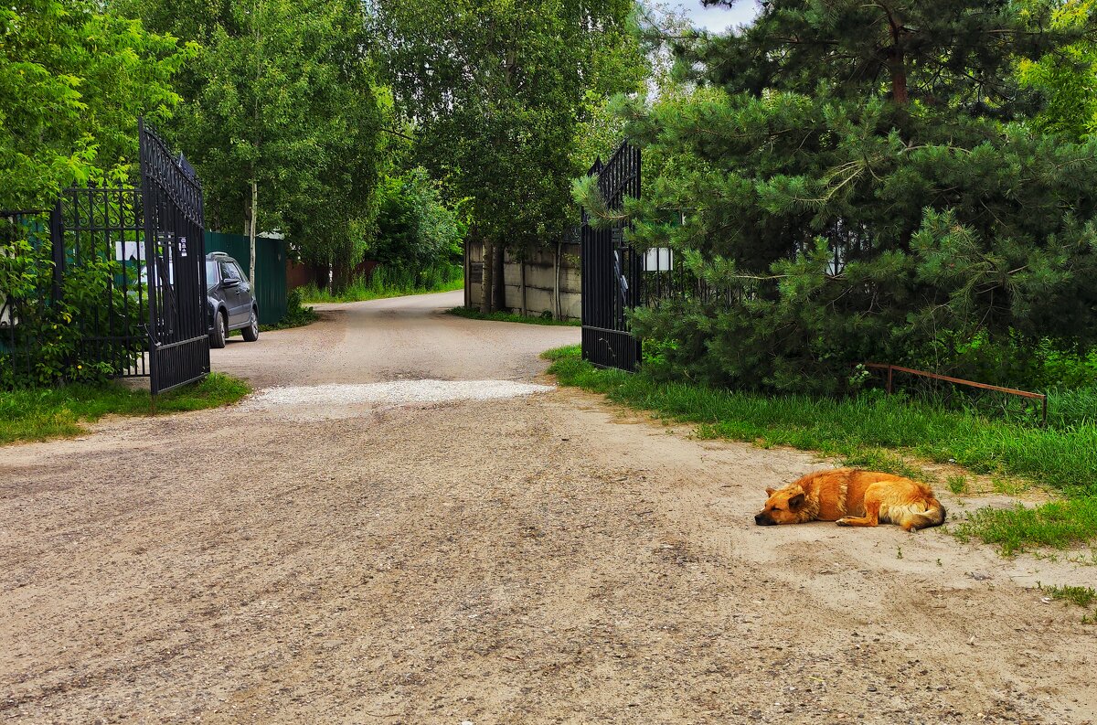 ***** - Алексей Архипов