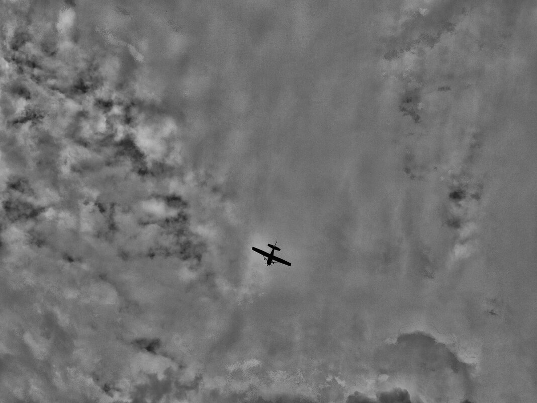 **** - Алексей Архипов