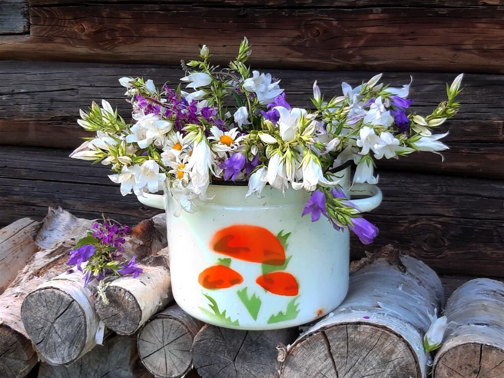 Натюрморт с полевыми цветами! - Нина Андронова