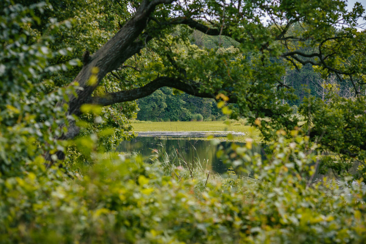 У озера - Вячеслав Владимирович