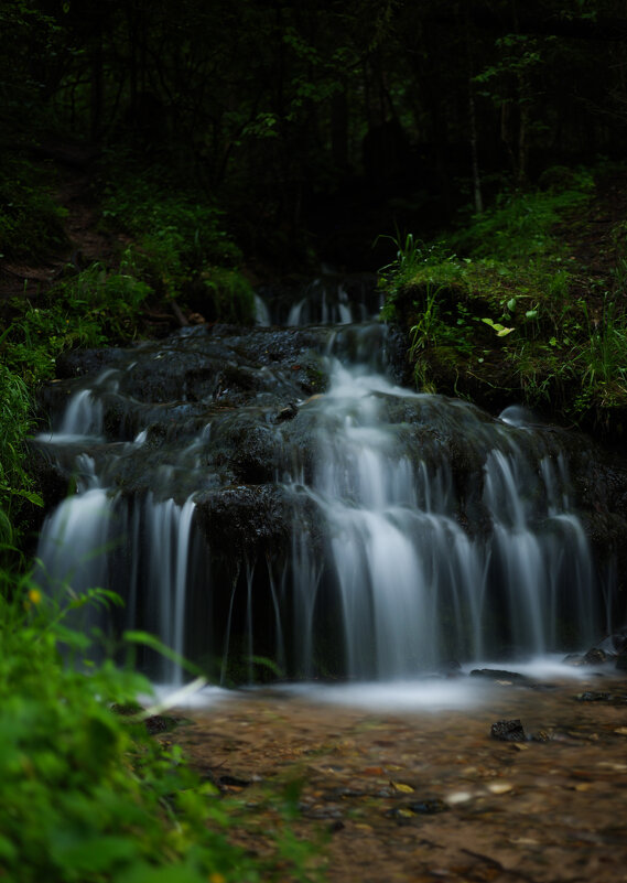 Гремучий ручей - Дарья Панова