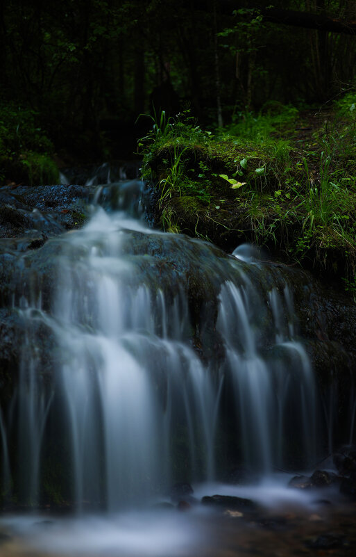 Гремучий ручей - Дарья Панова
