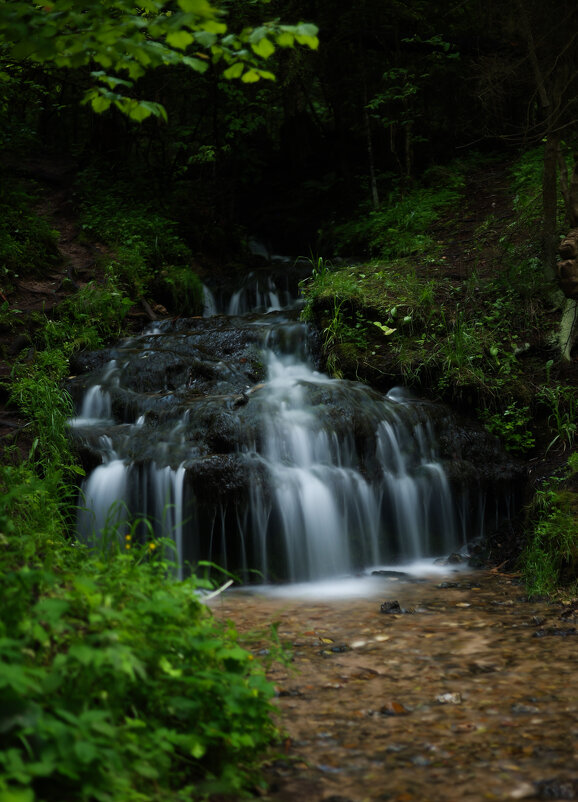 Гремучий ручей - Дарья Панова
