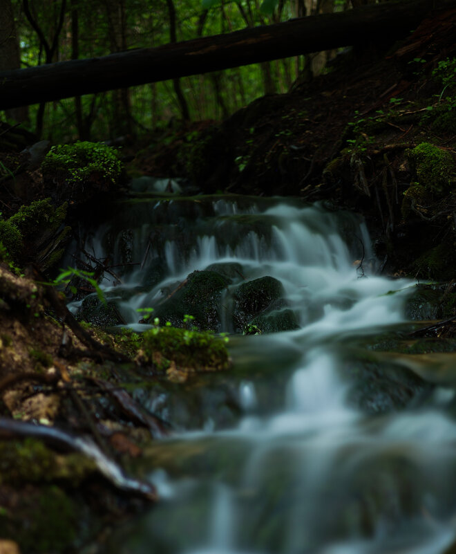 Гремучий ручей - Дарья Панова