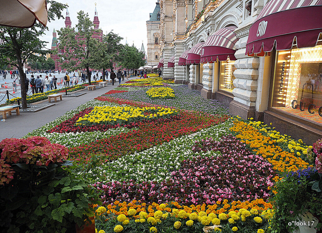 городские цветы - Олег Лукьянов городские цветы - Олег Лукьянов