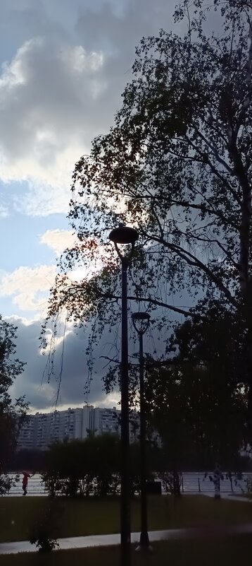 дождливый вечер - Галина R...